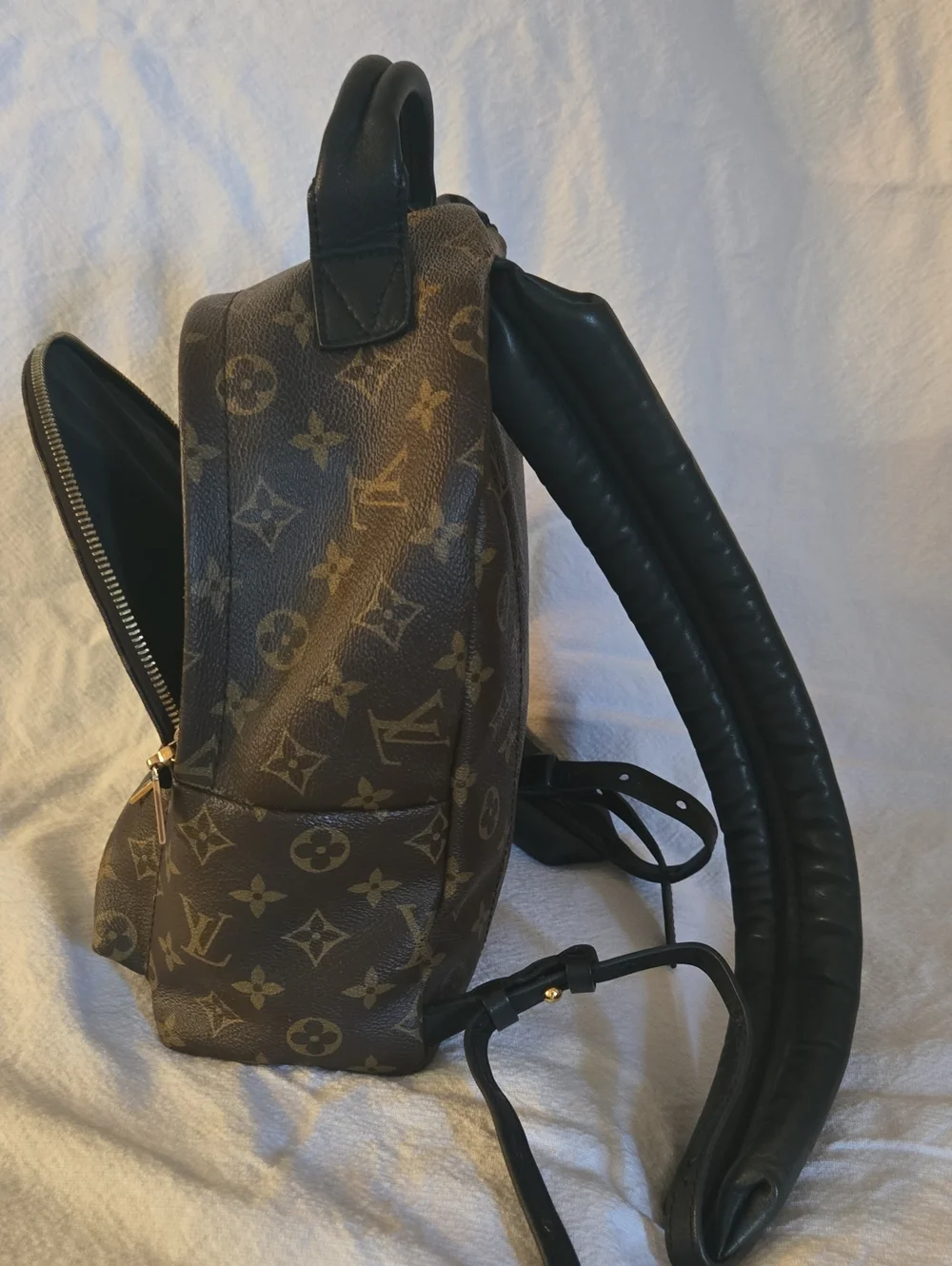 🔥🔥🔥Authentic Louis Vuitton Monogram Palm Springs Backpack PM